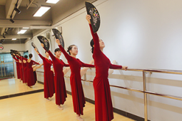 广州天河拉丁舞小班教学/拉丁舞教练班系统培训